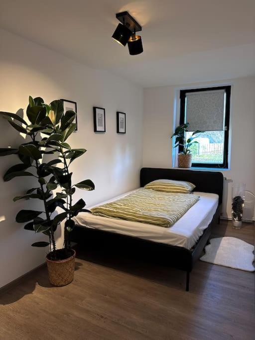 Urban Apartments Weimarer Land Buttelstedt Buitenkant foto